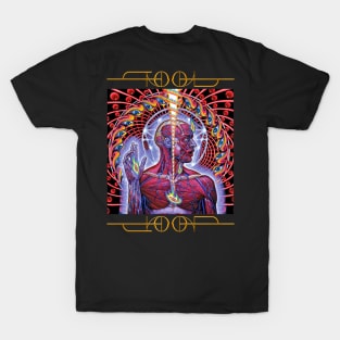 Tool Band Schism Albumart lateralus T-Shirt